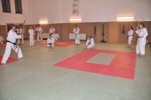 DSC0050