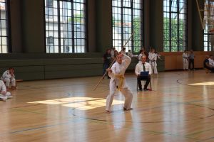 IMG8655