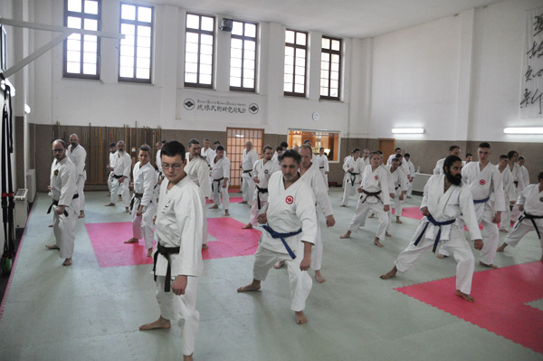 Zurück ins Dojo